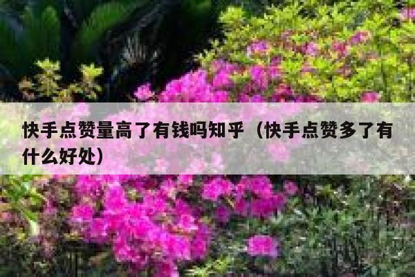 快手点赞量高了有钱吗知乎(快手点赞多了有什么好处) 第1张 快手点赞量高了有钱吗知乎(快手点赞多了有什么好处) 第1张