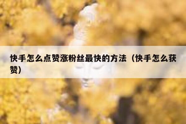 快手怎么点赞涨粉丝最快的方法（快手怎么获赞） 第1张