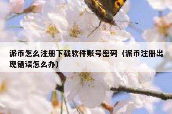 派币怎么注册下载软件账号密码（派币注册出现错误怎么办） 第1张