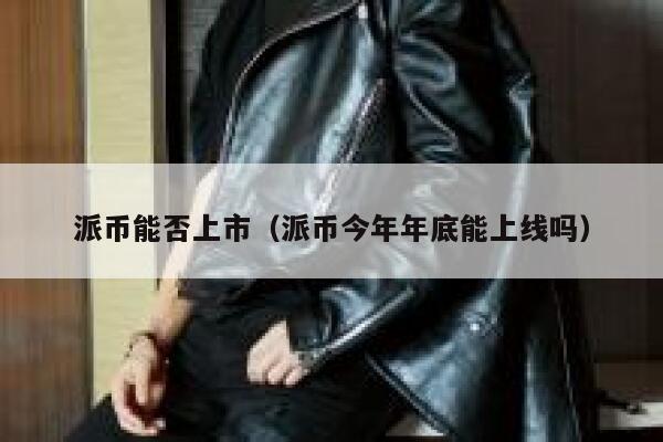 派币能否上市（派币今年年底能上线吗） 第1张