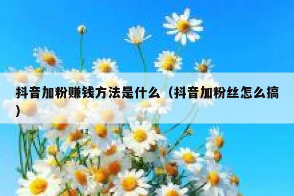 抖音加粉赚钱方法是什么（抖音加粉丝怎么搞） 第1张