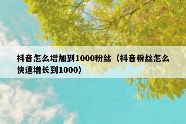 抖音怎么增加到1000粉丝（抖音粉丝怎么快速增长到1000） 第1张