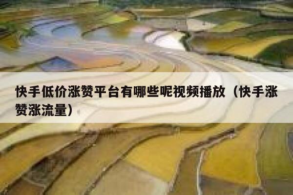 快手低价涨赞平台有哪些呢视频播放（快手涨赞涨流量） 第1张