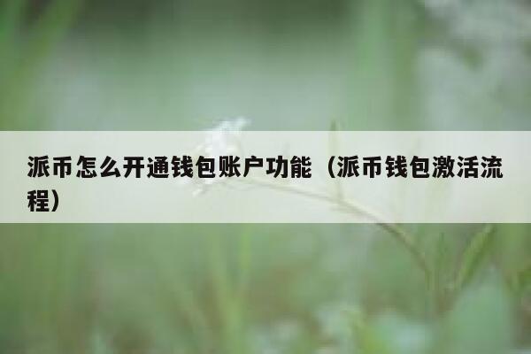 派币怎么开通钱包账户功能（派币钱包激活流程） 第1张
