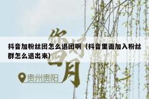 抖音加粉丝团怎么退团啊(抖音里面加入粉丝群怎么退出来) 第1张 抖音加粉丝团怎么退团啊(抖音里面加入粉丝群怎么退出来) 第1张