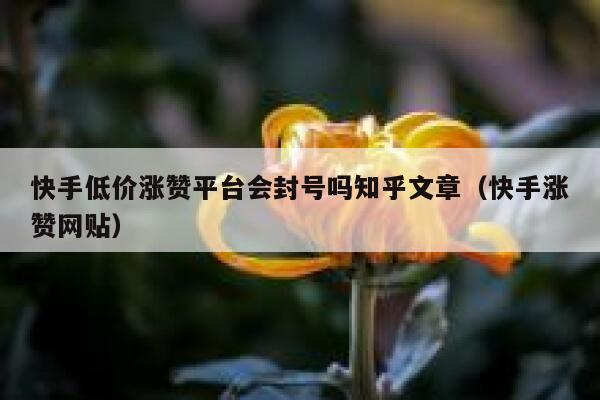 快手低价涨赞平台会封号吗知乎文章（快手涨赞网贴） 第1张