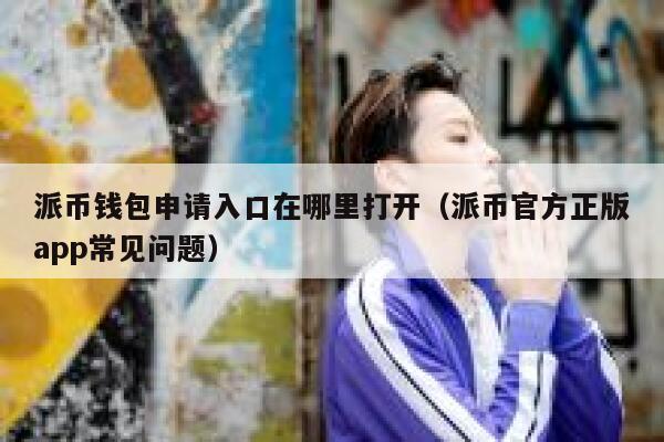 派币钱包申请入口在哪里打开（派币官方正版app常见问题） 第1张