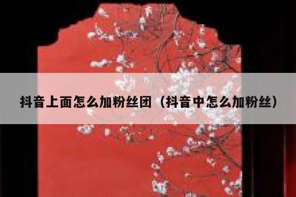 抖音上面怎么加粉丝团（抖音中怎么加粉丝） 第1张