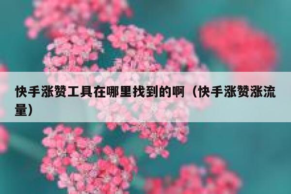 快手涨赞工具在哪里找到的啊（快手涨赞涨流量） 第1张
