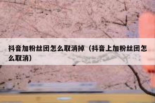 抖音加粉丝团怎么取消掉(抖音上加粉丝团怎么取消) 第1张 抖音加粉丝团怎么取消掉(抖音上加粉丝团怎么取消) 第1张