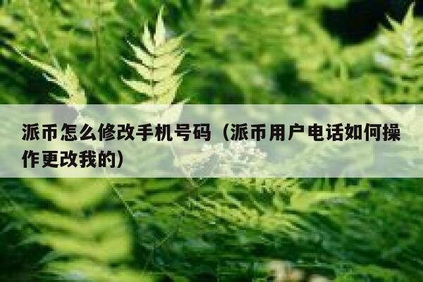 派币怎么修改手机号码（派币用户电话如何操作更改我的） 第1张
