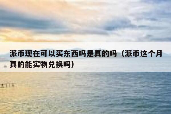 派币现在可以买东西吗是真的吗（派币这个月真的能实物兑换吗） 第1张