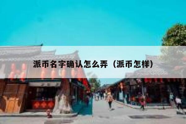 派币名字确认怎么弄（派币怎样） 第1张