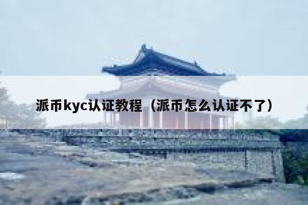 派币kyc认证教程（派币怎么认证不了） 第1张