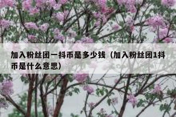加入粉丝团一抖币是多少钱（加入粉丝团1抖币是什么意思） 第1张
