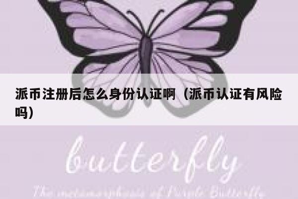 派币注册后怎么身份认证啊(派币认证有风险吗) 第1张 派币注册后怎么身份认证啊(派币认证有风险吗) 第1张