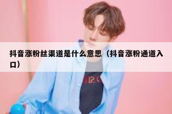 抖音涨粉丝渠道是什么意思(抖音涨粉通道入口) 第1张 抖音涨粉丝渠道是什么意思(抖音涨粉通道入口) 第1张