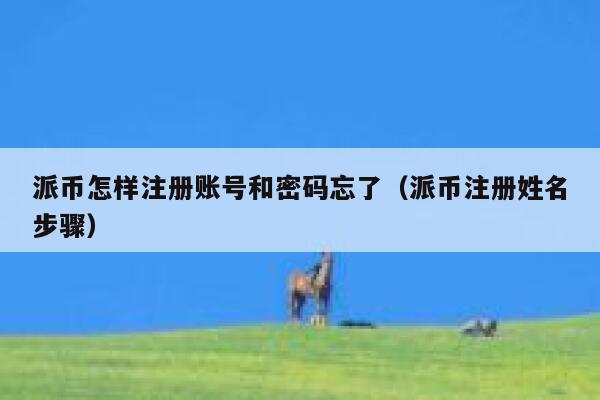 派币怎样注册账号和密码忘了（派币注册姓名步骤） 第1张