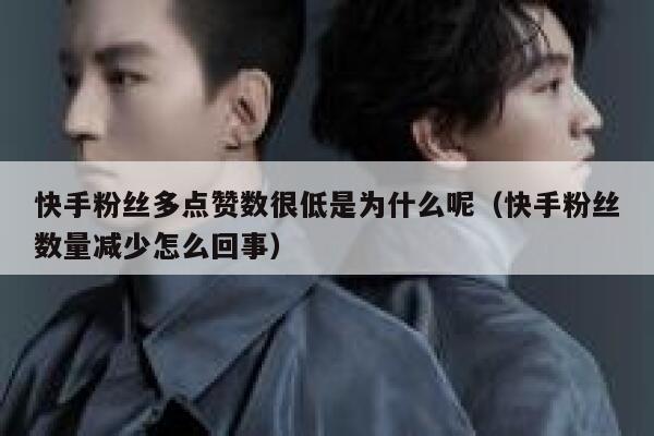 快手粉丝多点赞数很低是为什么呢（快手粉丝数量减少怎么回事） 第1张