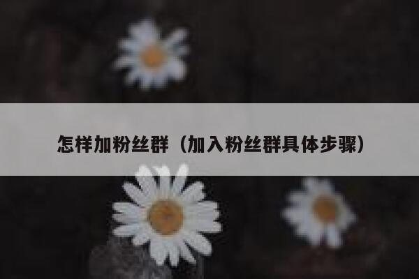怎样加粉丝群(加入粉丝群具体步骤) 第1张 怎样加粉丝群(加入粉丝群具体步骤) 第1张