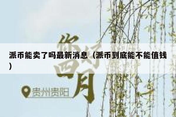 派币能卖了吗最新消息(派币到底能不能值钱) 第1张 派币能卖了吗最新消息(派币到底能不能值钱) 第1张