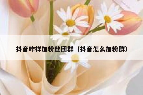 抖音咋样加粉丝团群（抖音怎么加粉群） 第1张