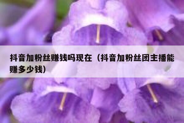 抖音加粉丝赚钱吗现在（抖音加粉丝团主播能赚多少钱） 第1张