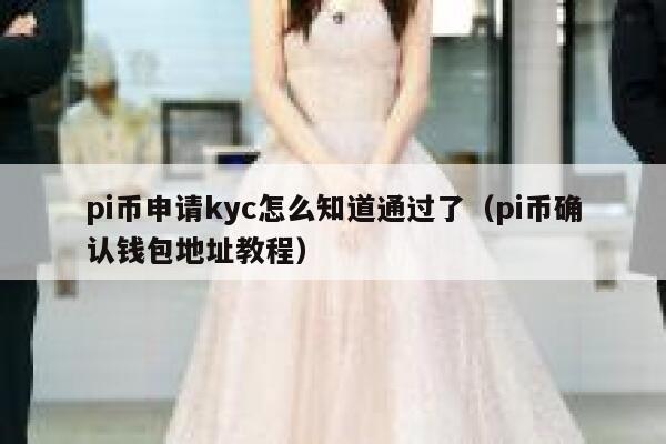 pi币申请kyc怎么知道通过了（pi币确认钱包地址教程） 第1张