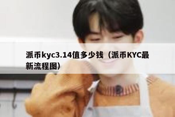 派币kyc3.14值多少钱（派币KYC最新流程图） 第1张