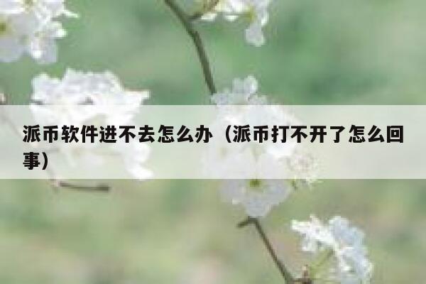 派币软件进不去怎么办（派币打不开了怎么回事） 第1张
