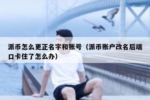 派币怎么更正名字和账号（派币账户改名后端口卡住了怎么办） 第1张