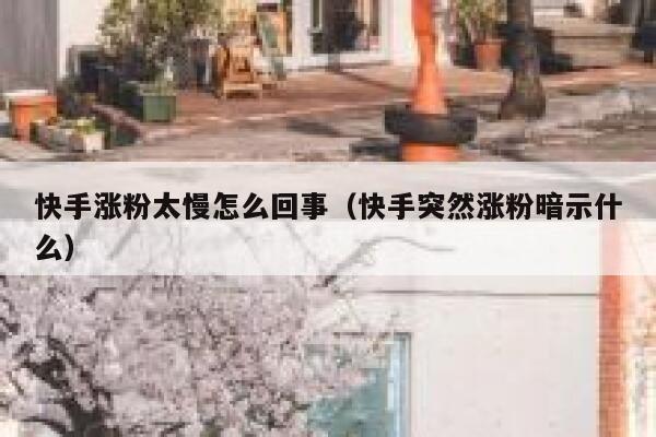 快手涨粉太慢怎么回事(快手突然涨粉暗示什么) 第1张 快手涨粉太慢怎么回事(快手突然涨粉暗示什么) 第1张