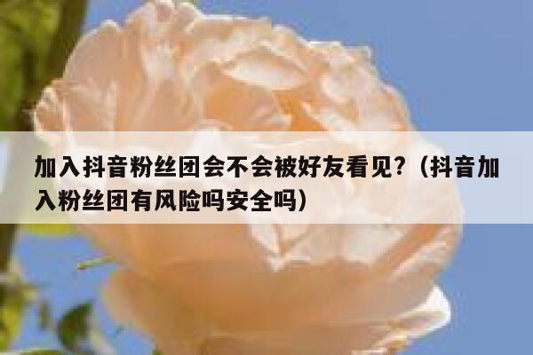 加入抖音粉丝团会不会被好友看见?（抖音加入粉丝团有风险吗安全吗） 第1张
