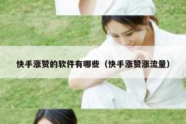 快手涨赞的软件有哪些（快手涨赞涨流量） 第1张