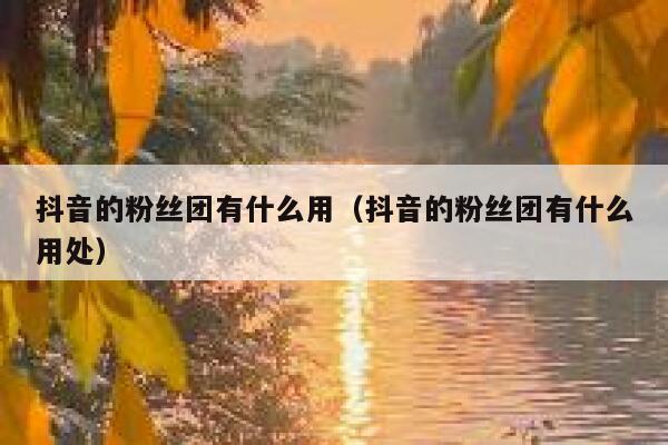 抖音的粉丝团有什么用（抖音的粉丝团有什么用处） 第1张
