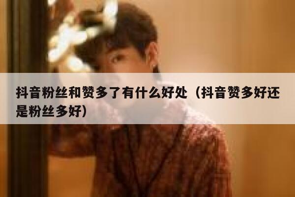抖音粉丝和赞多了有什么好处（抖音赞多好还是粉丝多好） 第1张