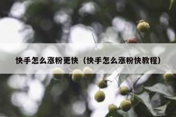 快手怎么涨粉更快（快手怎么涨粉快教程） 第1张