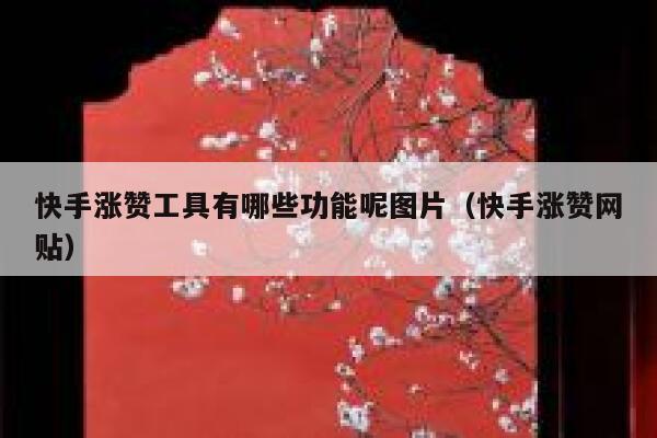 快手涨赞工具有哪些功能呢图片（快手涨赞网贴） 第1张