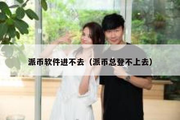派币软件进不去（派币总登不上去） 第1张