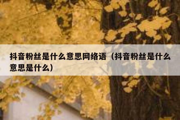 抖音粉丝是什么意思网络语（抖音粉丝是什么意思是什么） 第1张