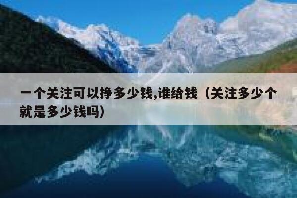一个关注可以挣多少钱,谁给钱（关注多少个就是多少钱吗） 第1张