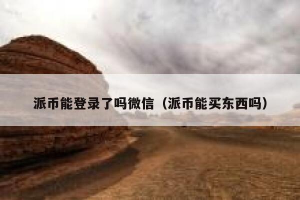 派币能登录了吗微信（派币能买东西吗） 第1张