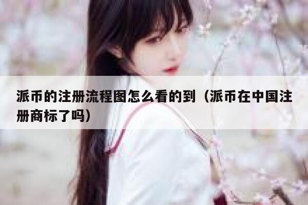 派币的注册流程图怎么看的到（派币在中国注册商标了吗） 第1张