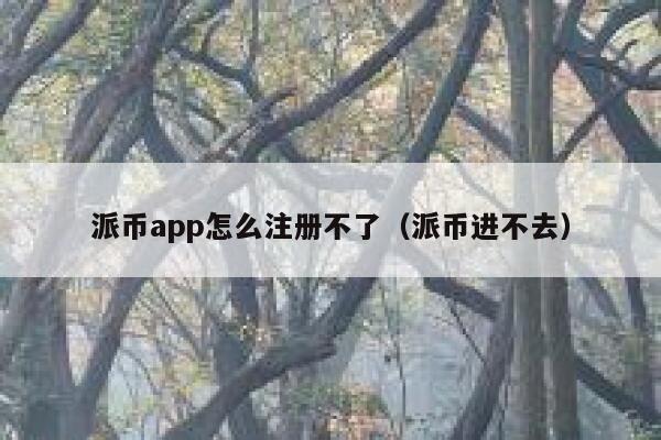 派币app怎么注册不了（派币进不去） 第1张
