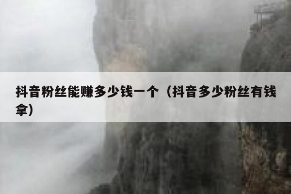 抖音粉丝能赚多少钱一个（抖音多少粉丝有钱拿） 第1张