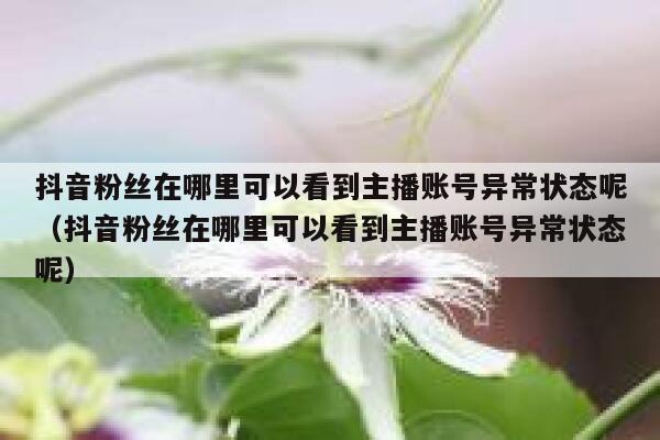 抖音粉丝在哪里可以看到主播账号异常状态呢（抖音粉丝在哪里可以看到主播账号异常状态呢） 第1张