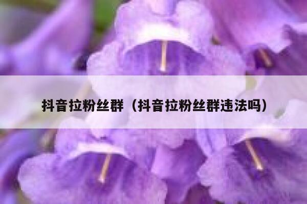 抖音拉粉丝群（抖音拉粉丝群违法吗） 第1张