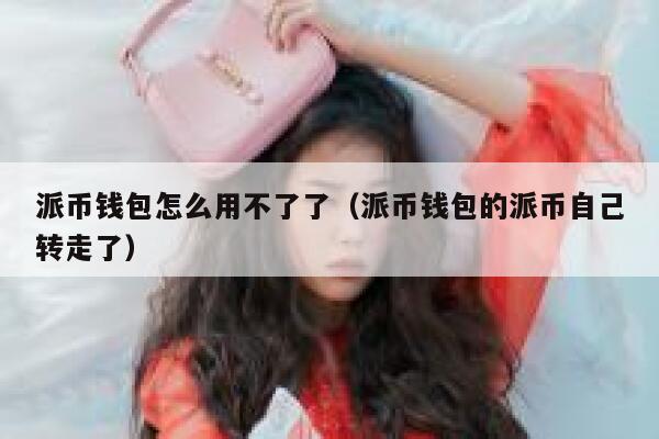 派币钱包怎么用不了了（派币钱包的派币自己转走了） 第1张