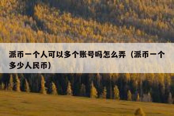 派币一个人可以多个账号吗怎么弄(派币一个多少人民币) 第1张 派币一个人可以多个账号吗怎么弄(派币一个多少人民币) 第1张