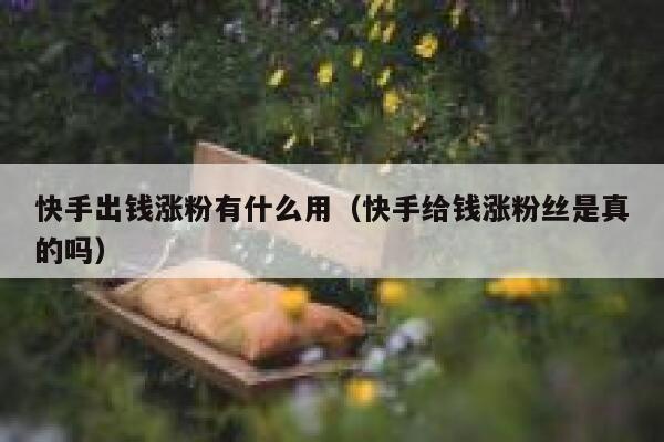 快手出钱涨粉有什么用(快手给钱涨粉丝是真的吗) 第1张 快手出钱涨粉有什么用(快手给钱涨粉丝是真的吗) 第1张